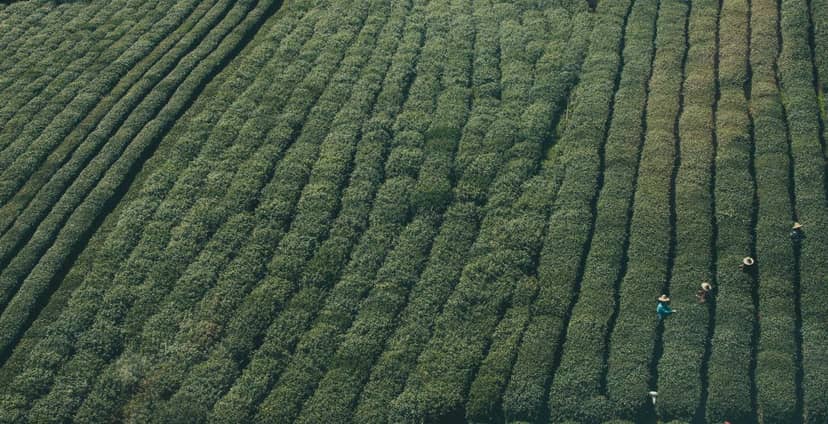 Unauth title FhphhFrA